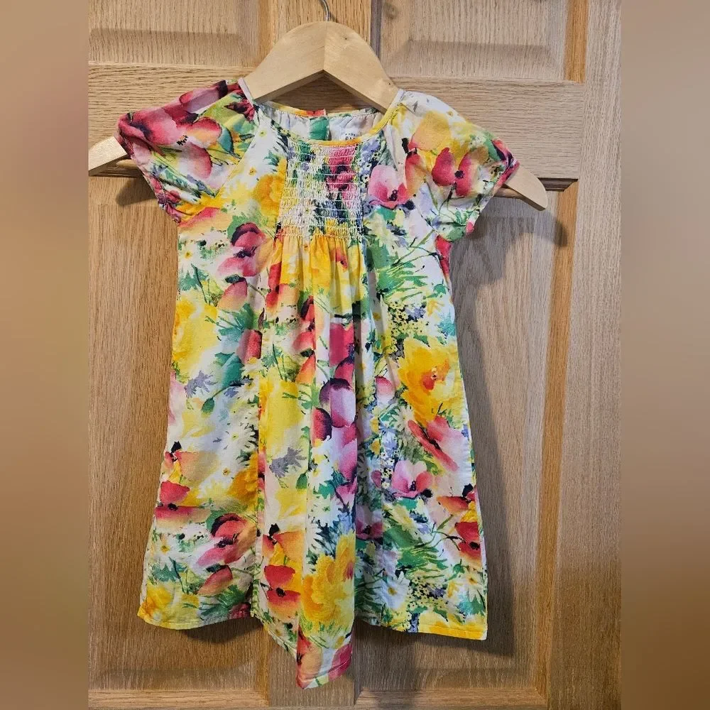 Baby GAP 4T Floral Kids Dress - Multicolor
